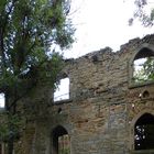 Durchblick-in-der-Schlossruine-