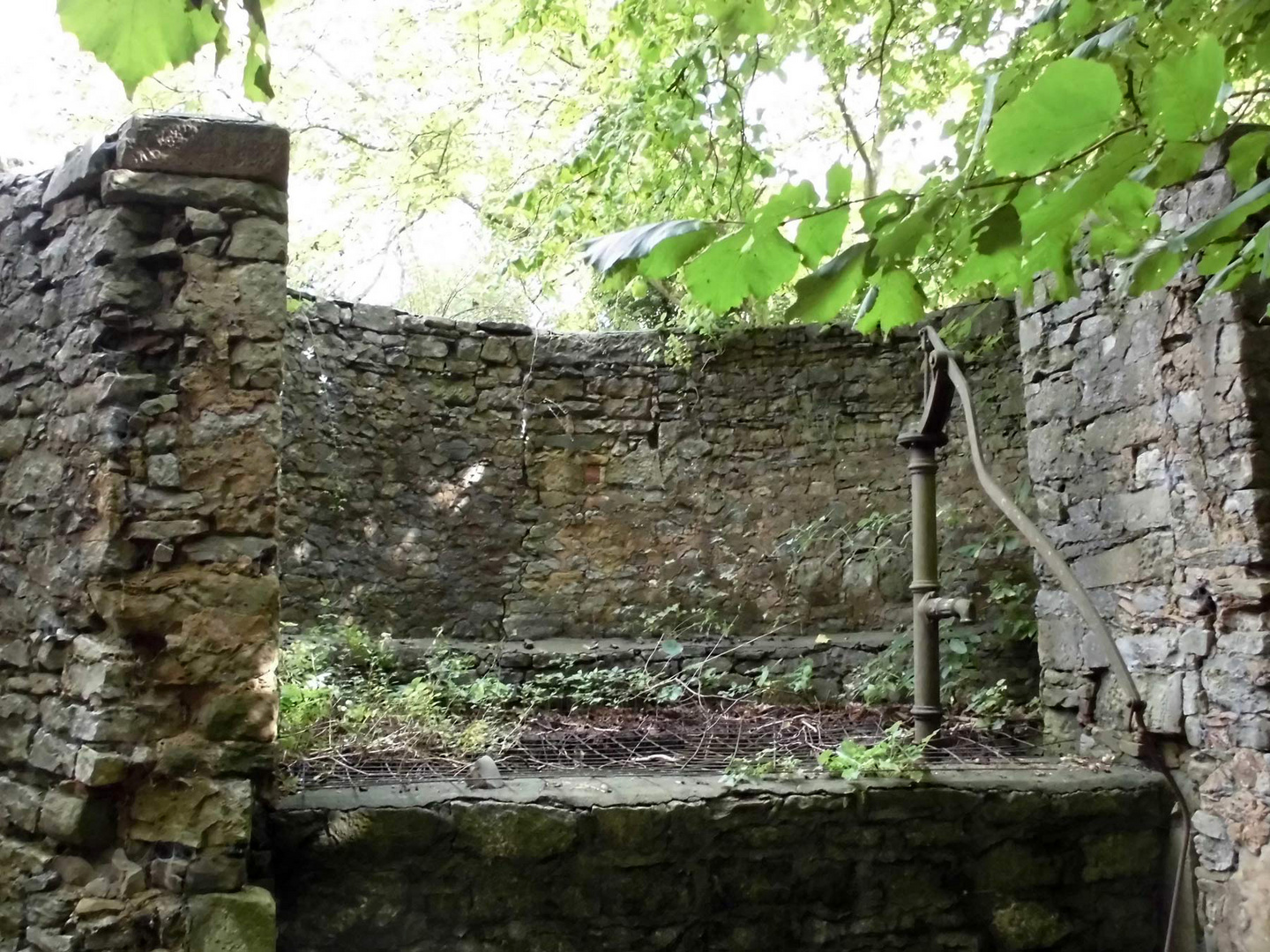 DurchblickinderSchlossruine Foto & Bild spezial, architektur