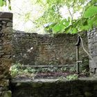 Durchblick-in-der-Schlossruine-