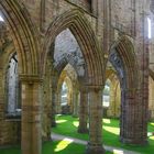 Durchblick in der Tintern-Abbey in Wales