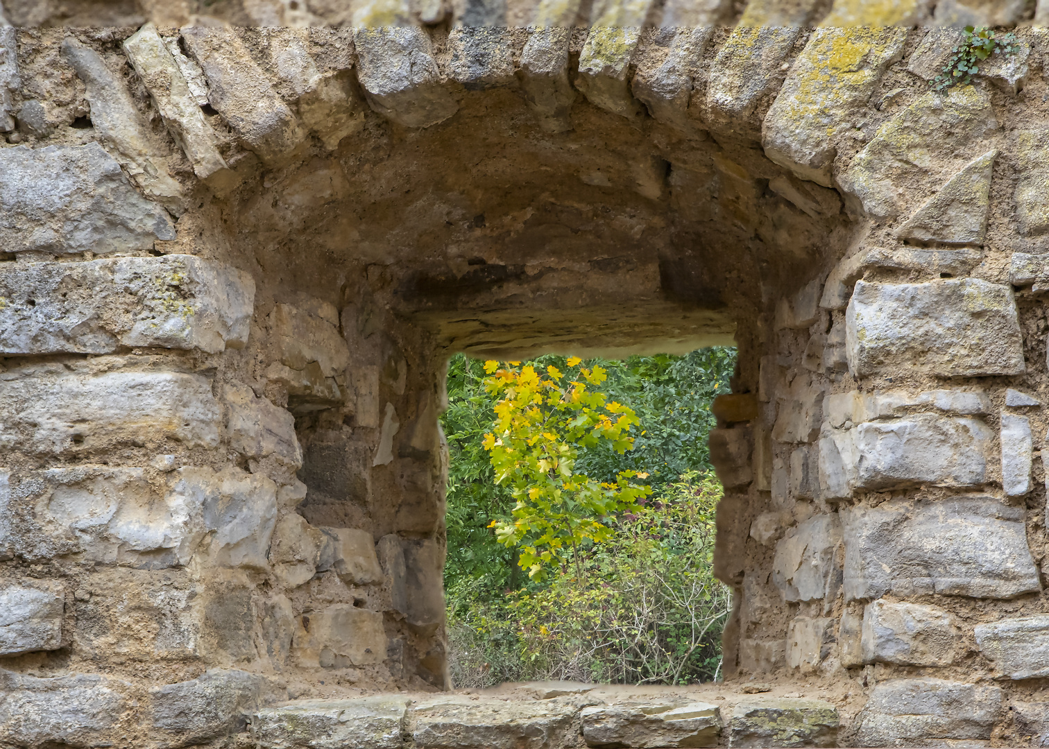 Durchblick in die Natur vom Gefängnis Achersleben