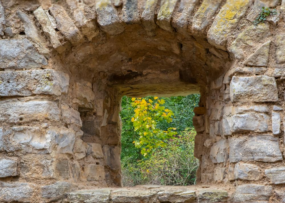 Durchblick in die Natur vom Gefängnis Achersleben