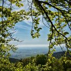 Durchblick in die Pfalz 