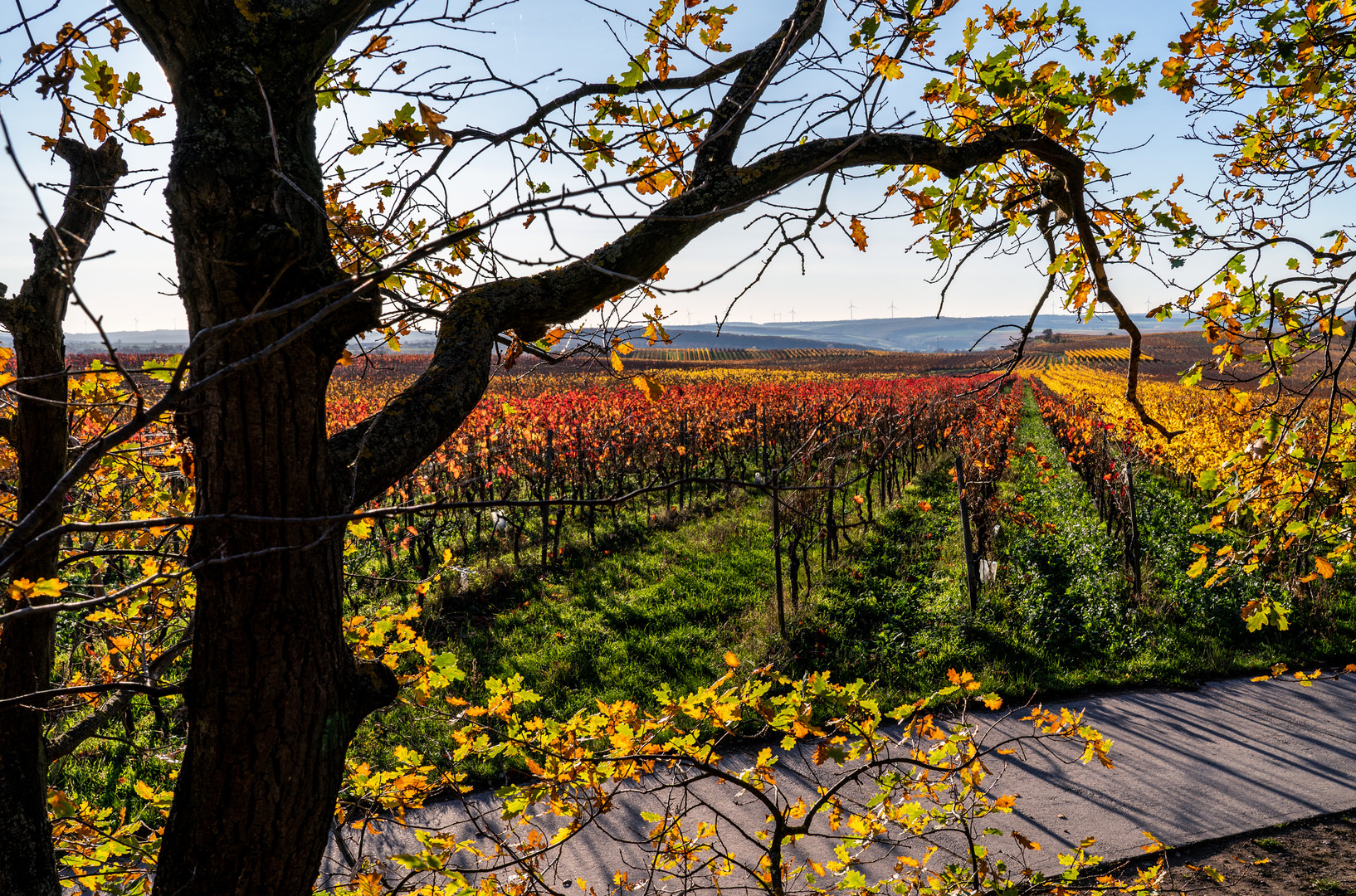 Durchblick in die Weite