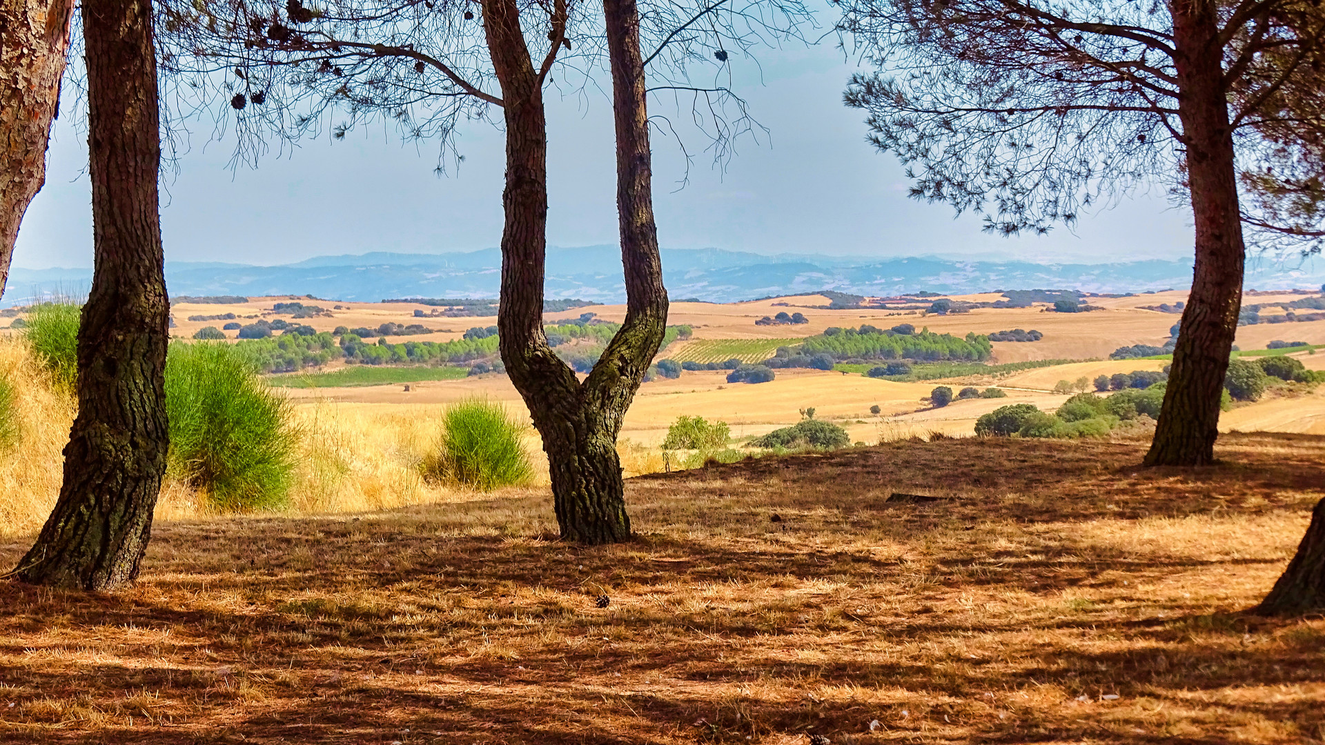 Durchblick in Navarra