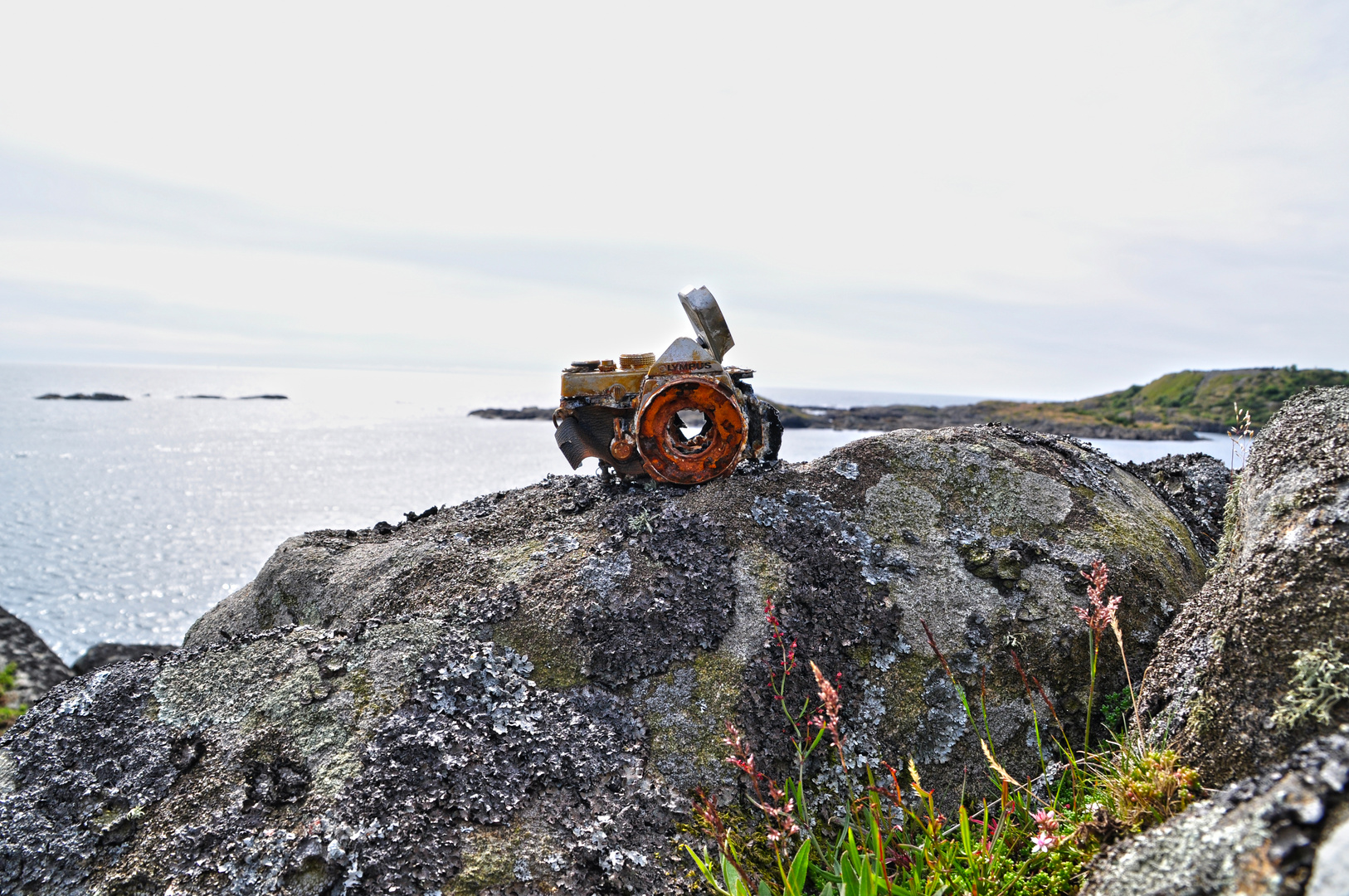 Durchblick in Norwegen