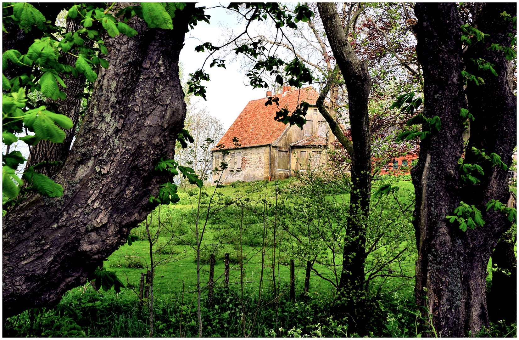 Durchblick in Tetenbüll - Sweet Home