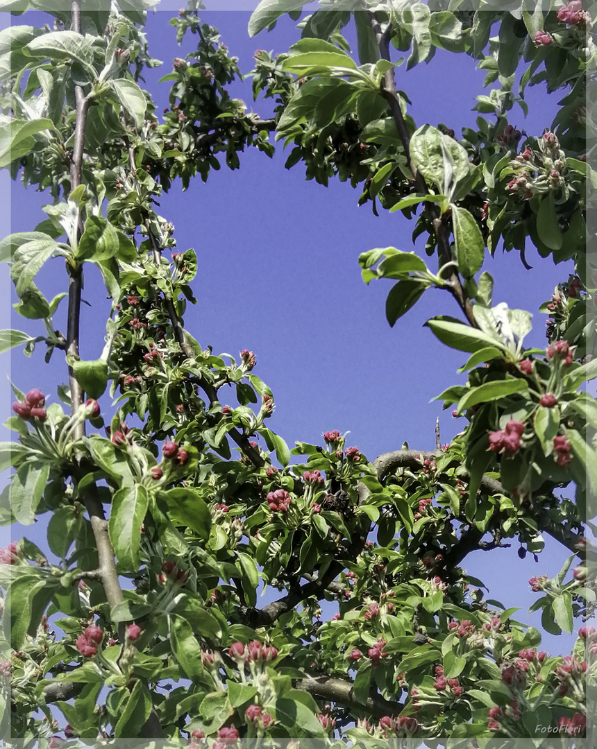 Durchblick ins Blaue