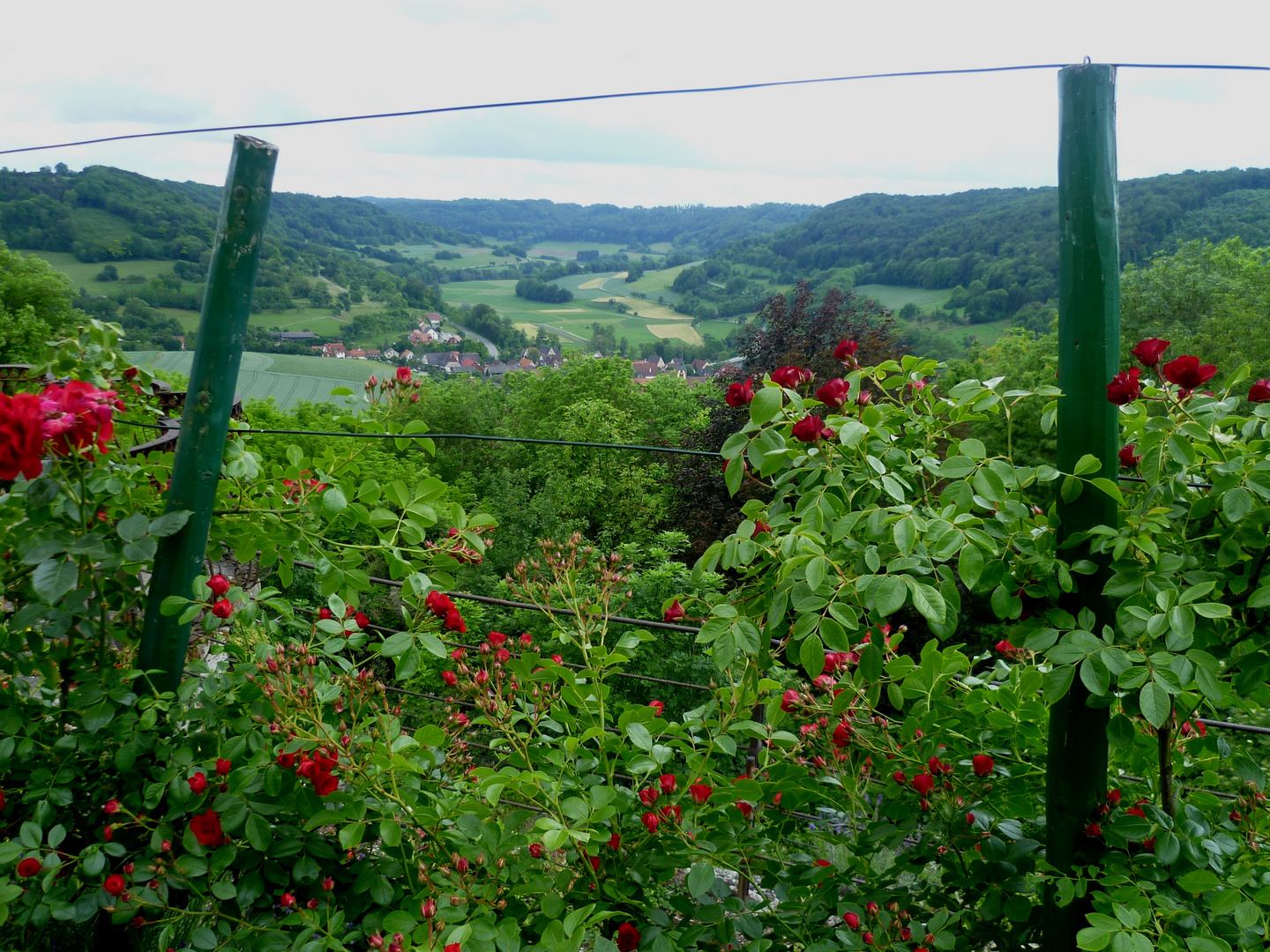 Durchblick  ins Jagsttal beim Schloss Langenburg