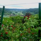 Durchblick  ins Jagsttal beim Schloss Langenburg