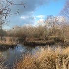 Durchblick ins Naturschutzgebiet