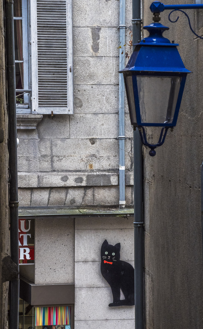 Durchblick - Le Chat