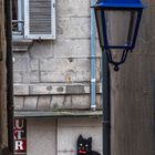 Durchblick - Le Chat