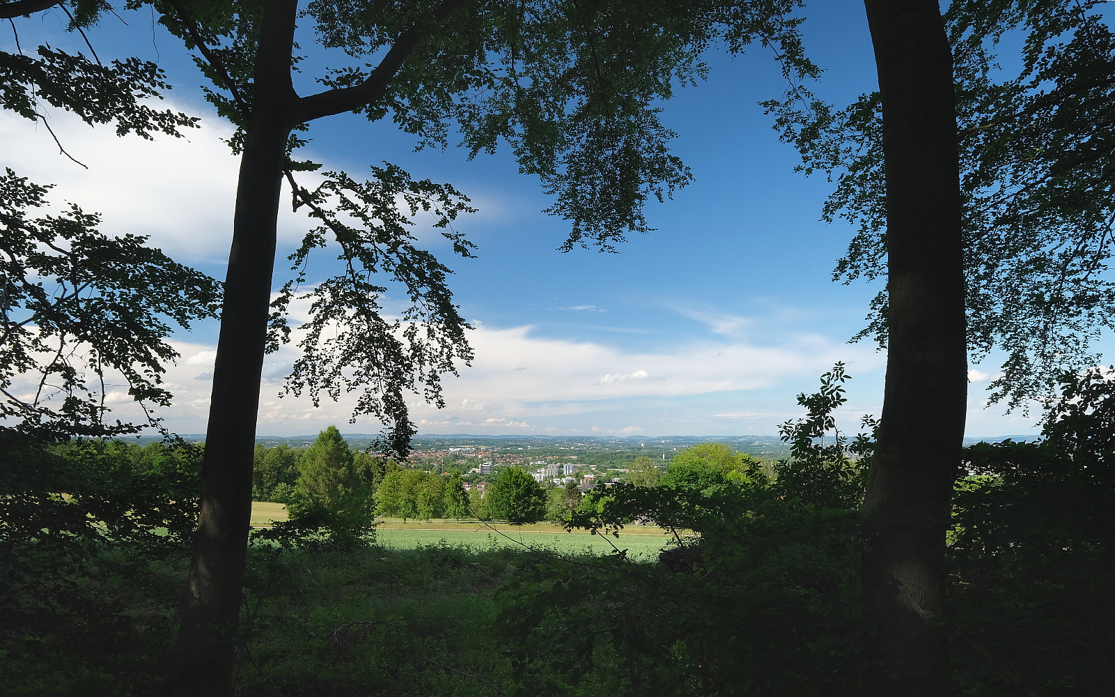 Durchblick, Lichtblick, Ausblick