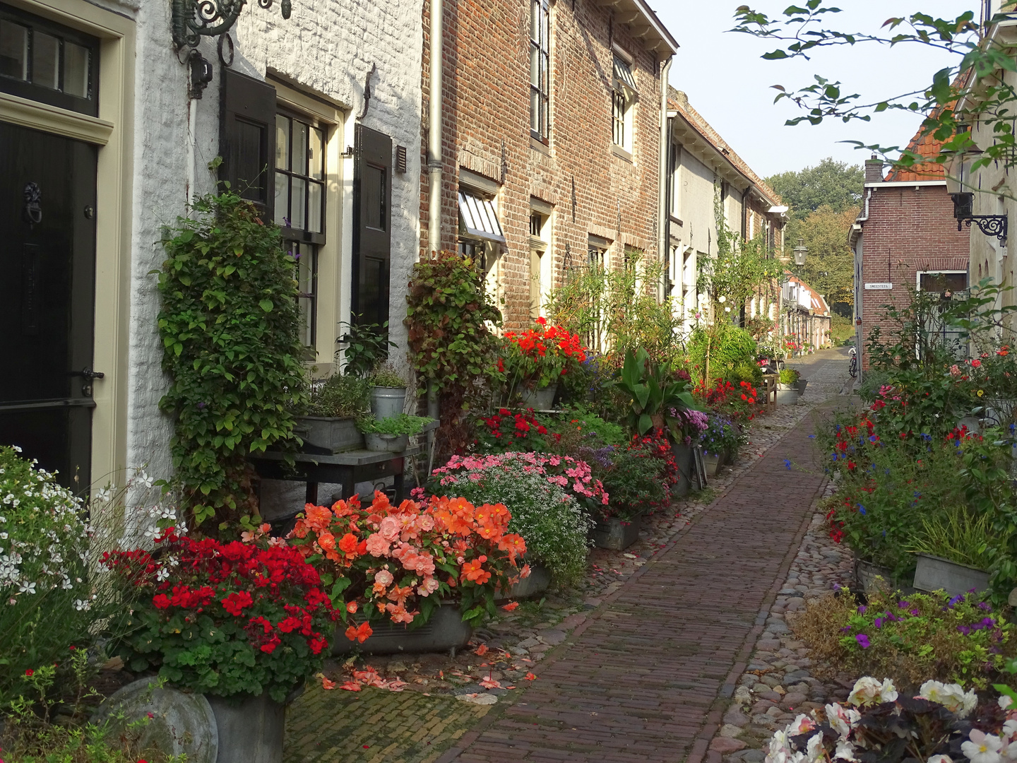 Durchblick mit Blumen