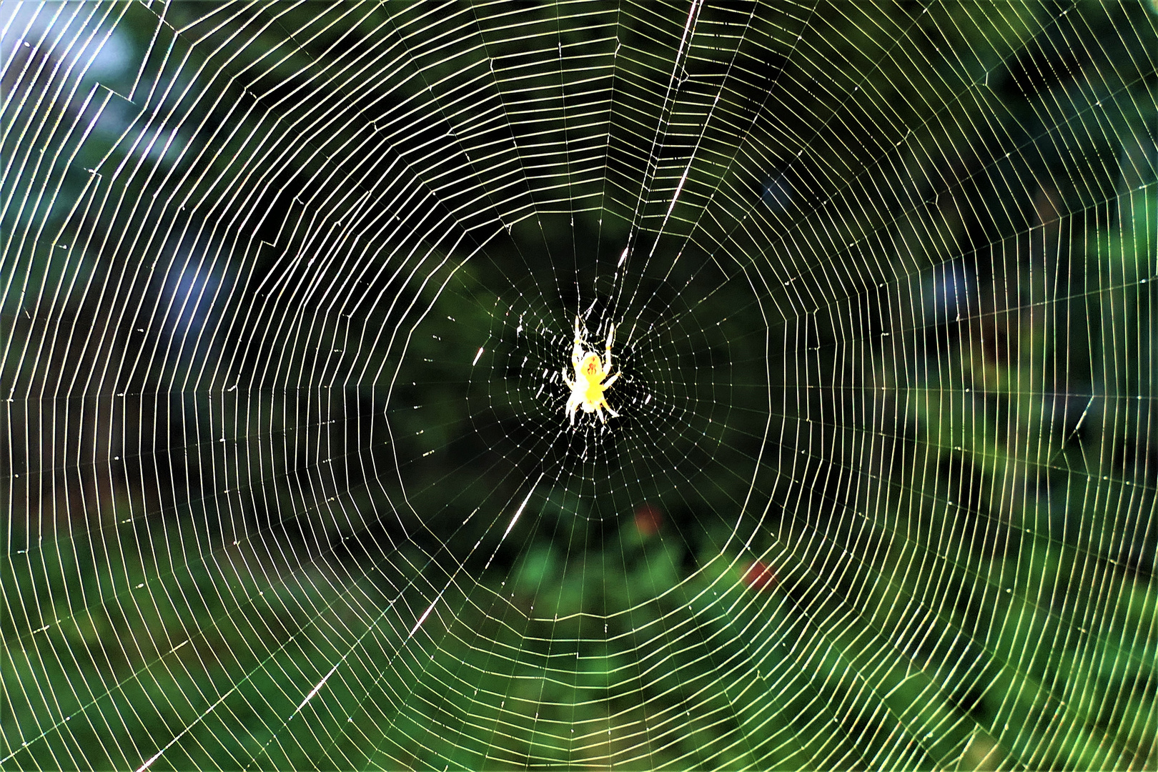 Durchblick mit Gegenlicht