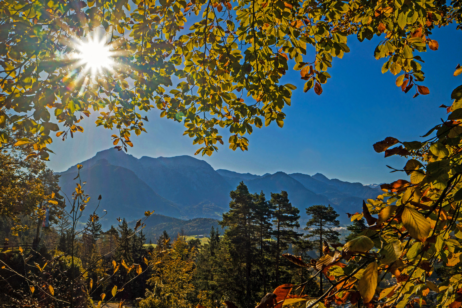 Durchblick mit Gegenlicht