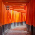 Durchblick mit Laterne / View through with lantern