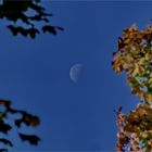 Durchblick mit Mond.