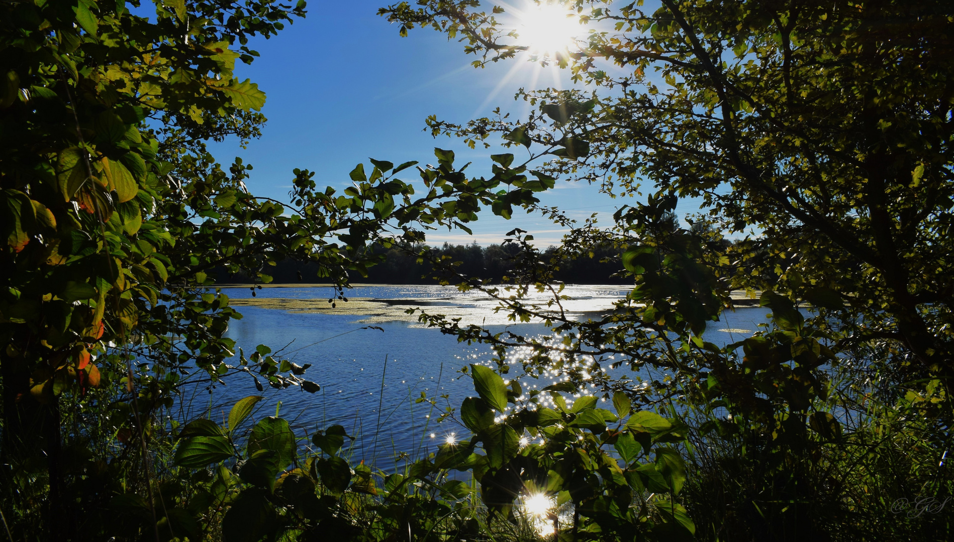 Durchblick mit Sonne