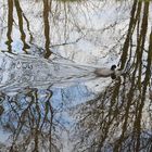 Durchblick mit Wasserstrukturen