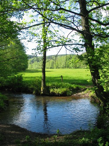 Durchblick mit Weitblick