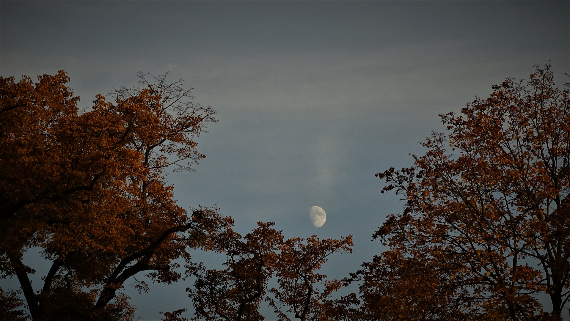 Durchblick-Mond