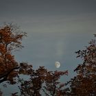 Durchblick-Mond