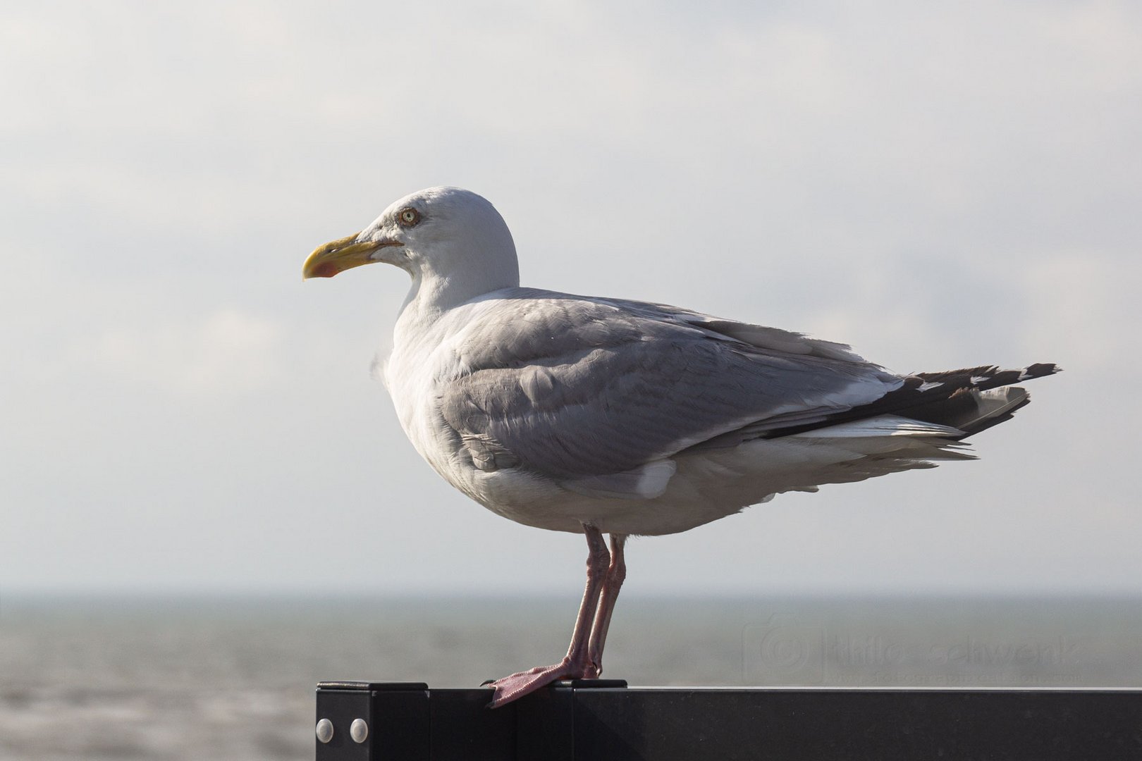 Durchblick nicht, aber