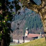 Durchblick - St.Trudbert im Winter