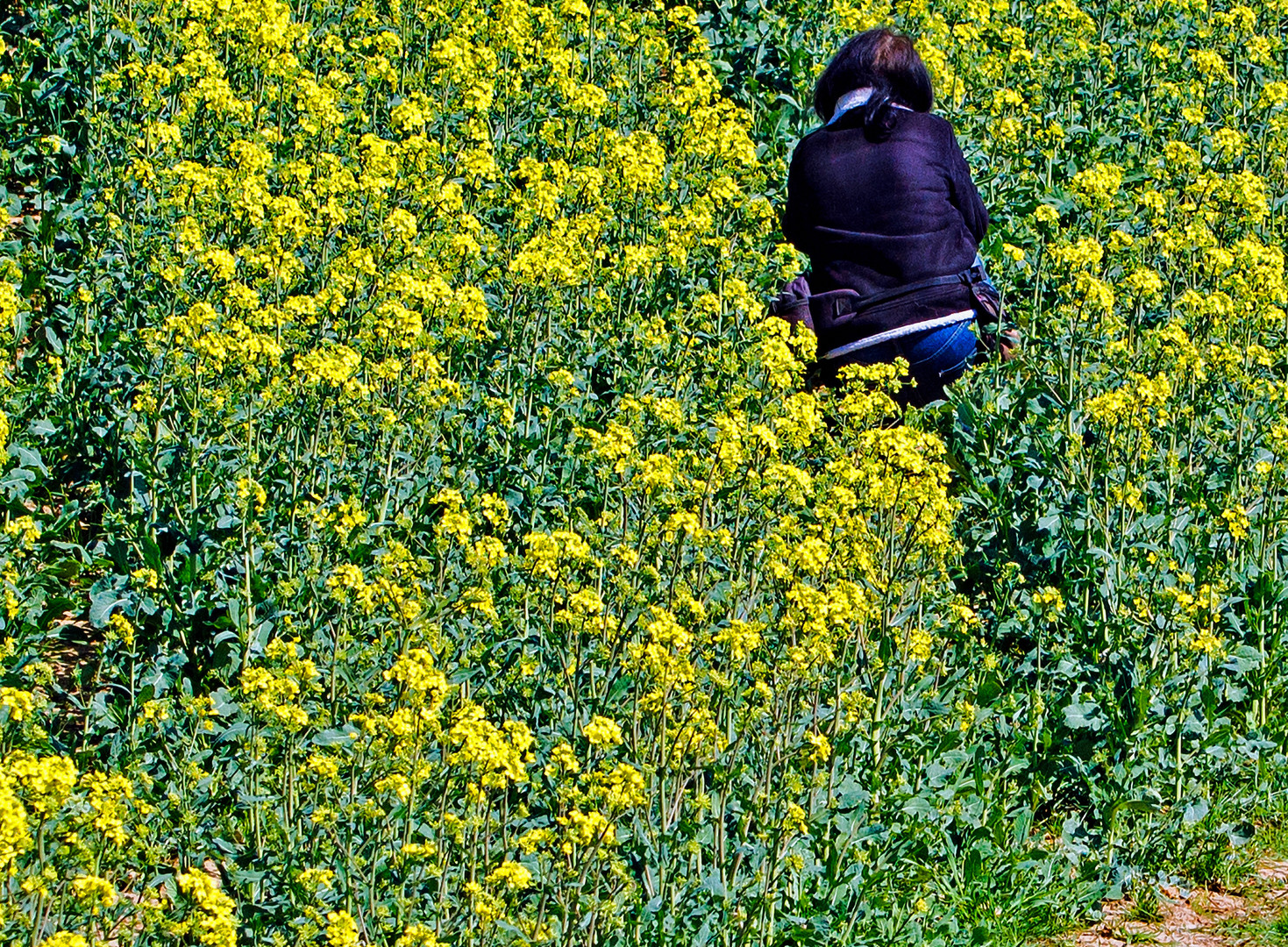 Durchblick verloren