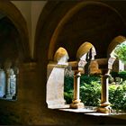 Durchblick vom Kreuzgang auf den Domherrenfriedhof