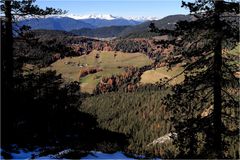 Durchblick vom "unteren Herrensteig"