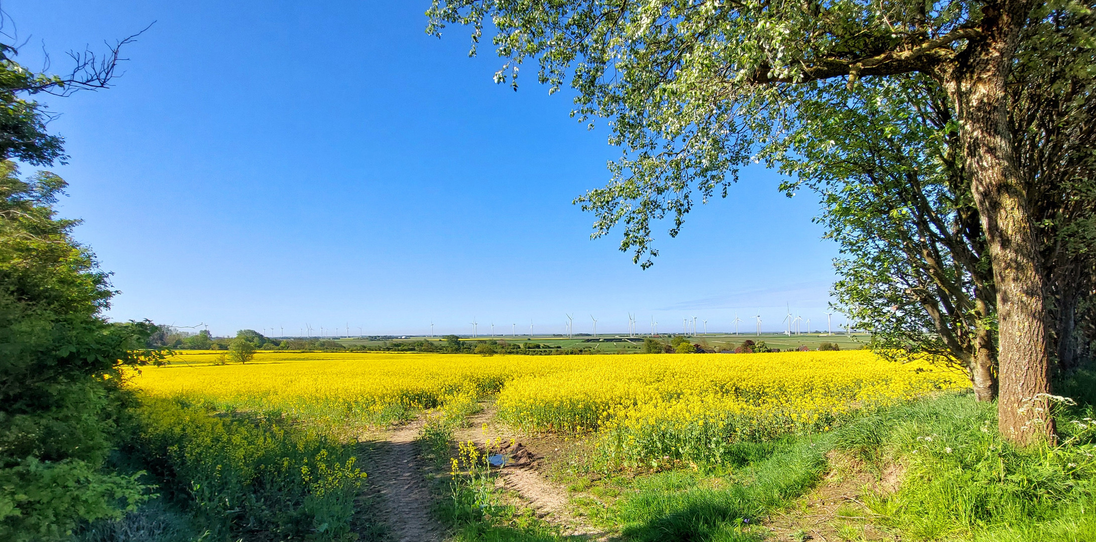 Durchblick von der Geest in die Marsch