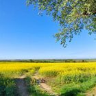 Durchblick von der Geest in die Marsch