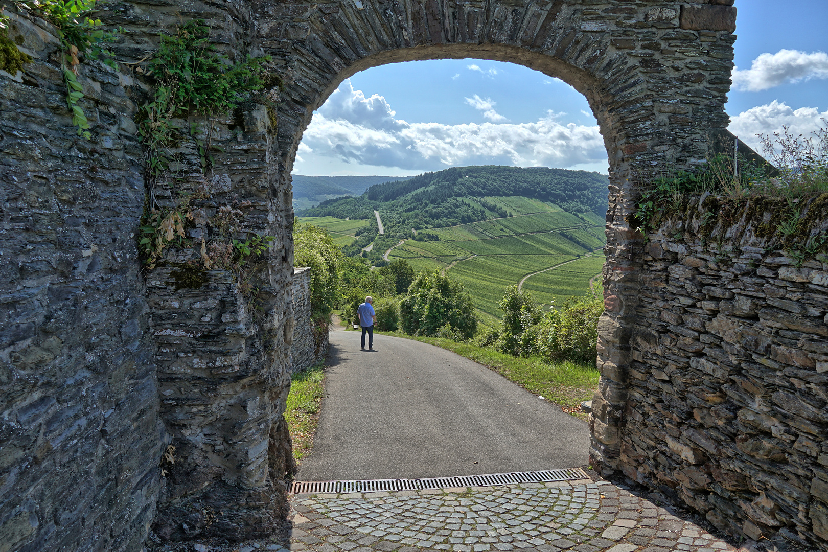 Durchblick von der Marienburg auf die Weinberge