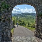 Durchblick von der Marienburg auf die Weinberge