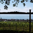 Durchblick von der Wilhelmshöhe auf Hagnau und den Bodensee