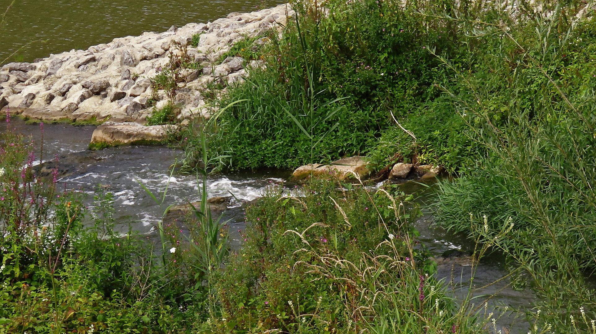 Durchblick Wasser