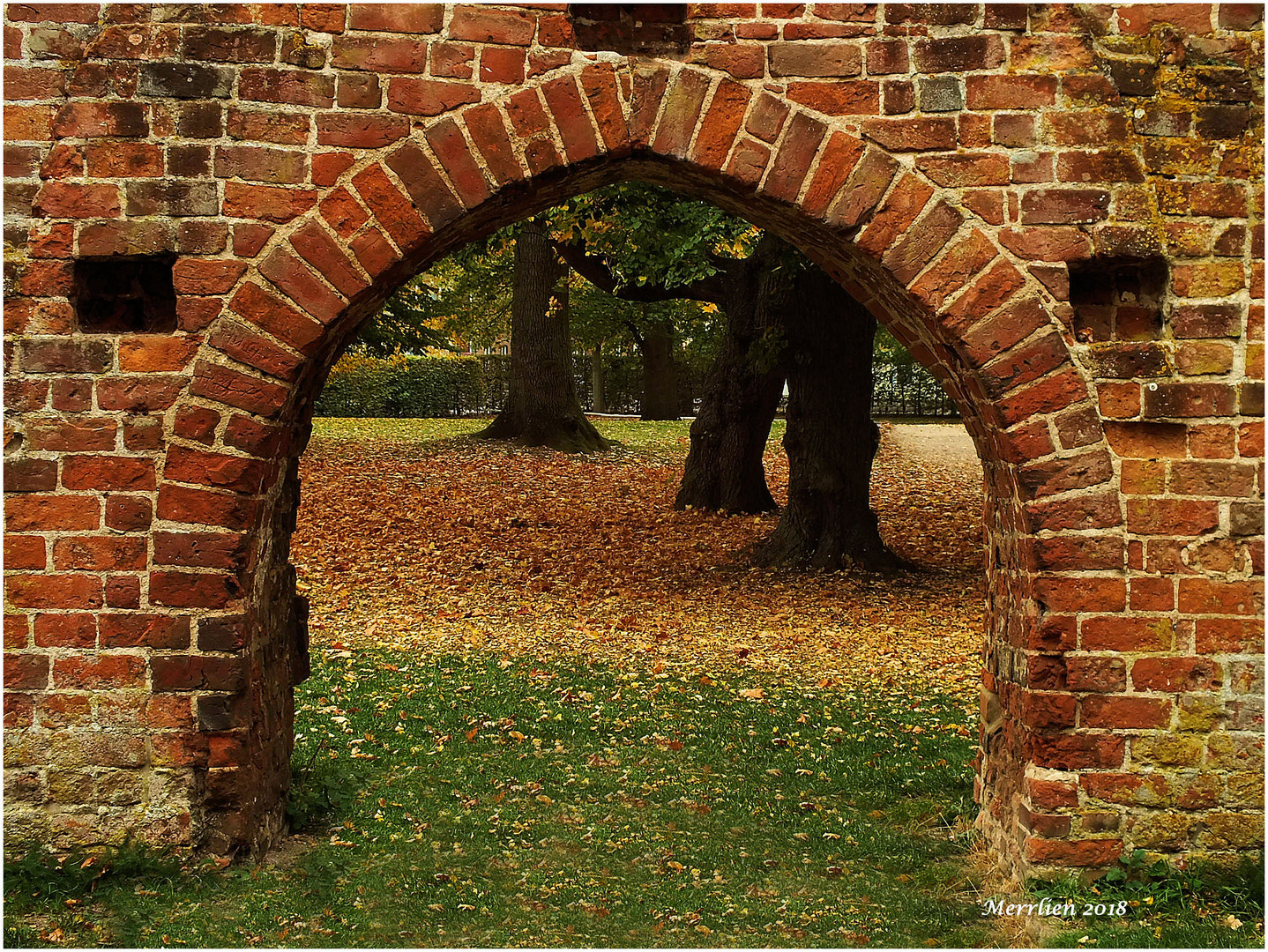 Durchblick & Weitsicht 