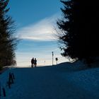 Durchblick - Winterweg