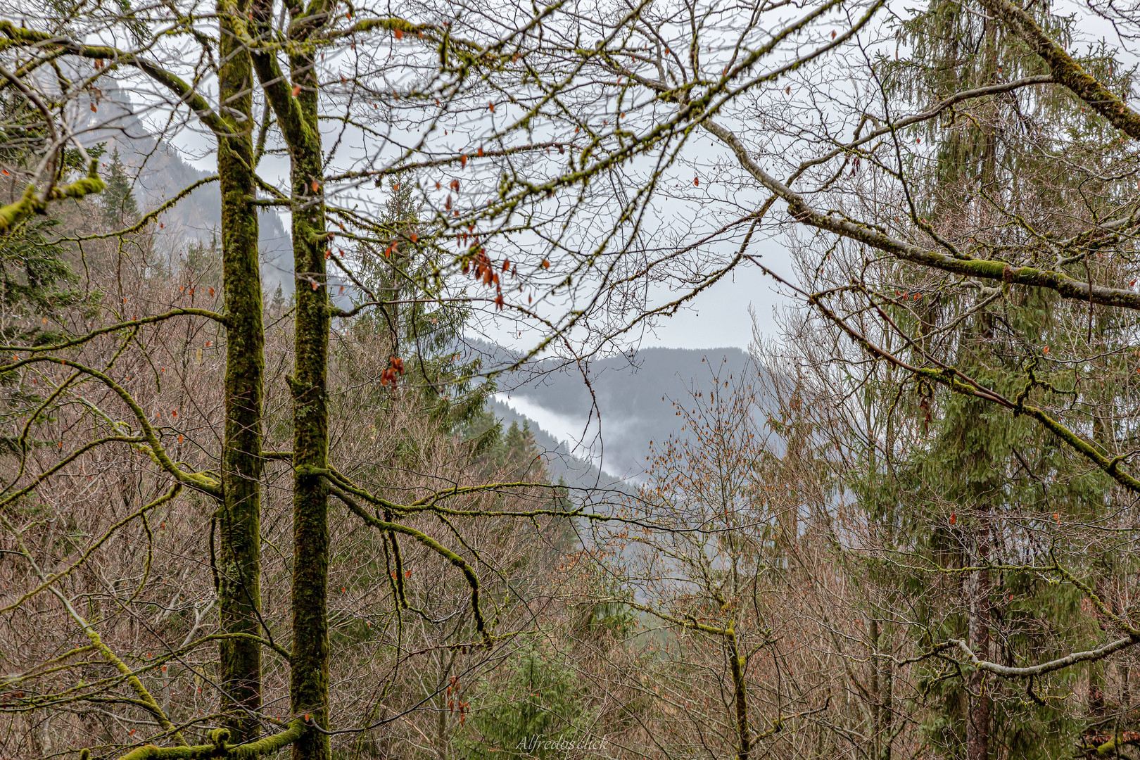 Durchblick zu den Bergspitzen