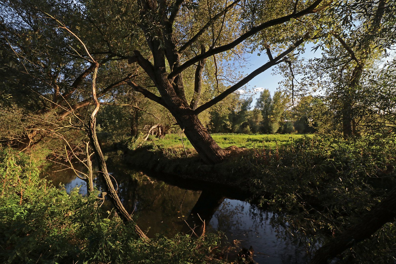 Durchblick zu den Okerwiesen