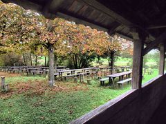 Durchblick zum alten Biergarten