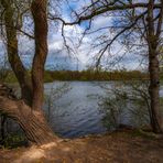 Durchblick zum anderen Ufer