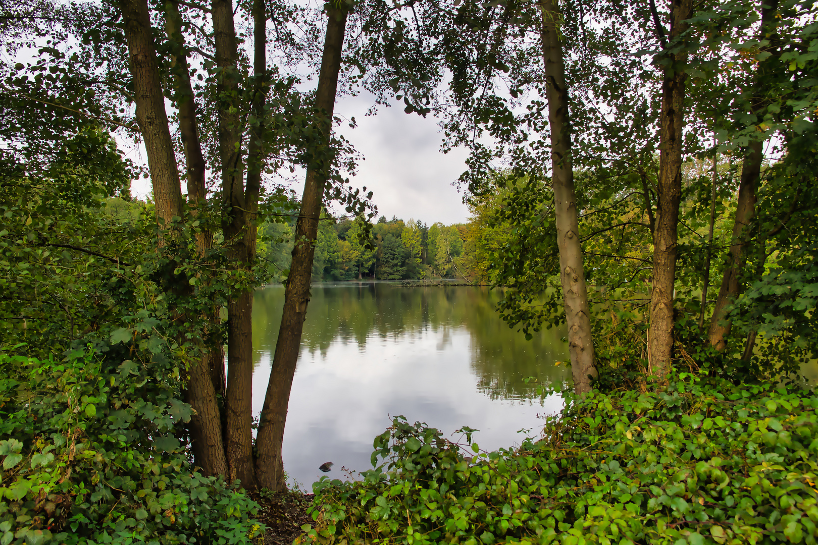 Durchblick zum Bensberger See