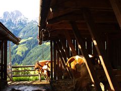 Durchblick zum Berg