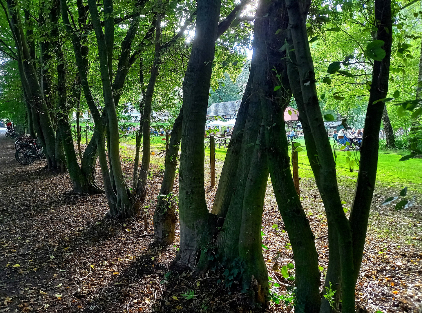 Durchblick zum Biergarten