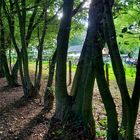 Durchblick zum Biergarten