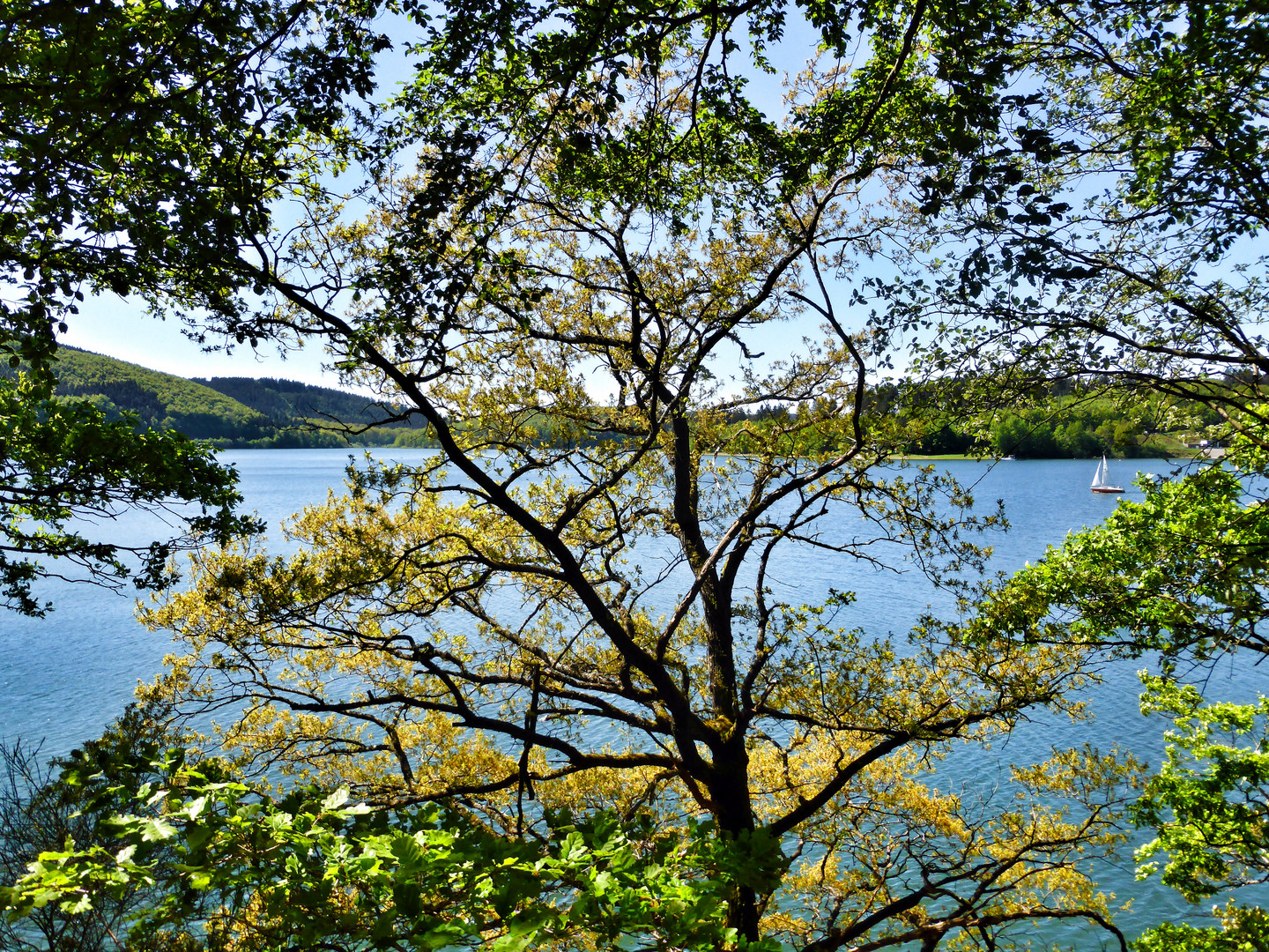 Durchblick zum Biggesee 